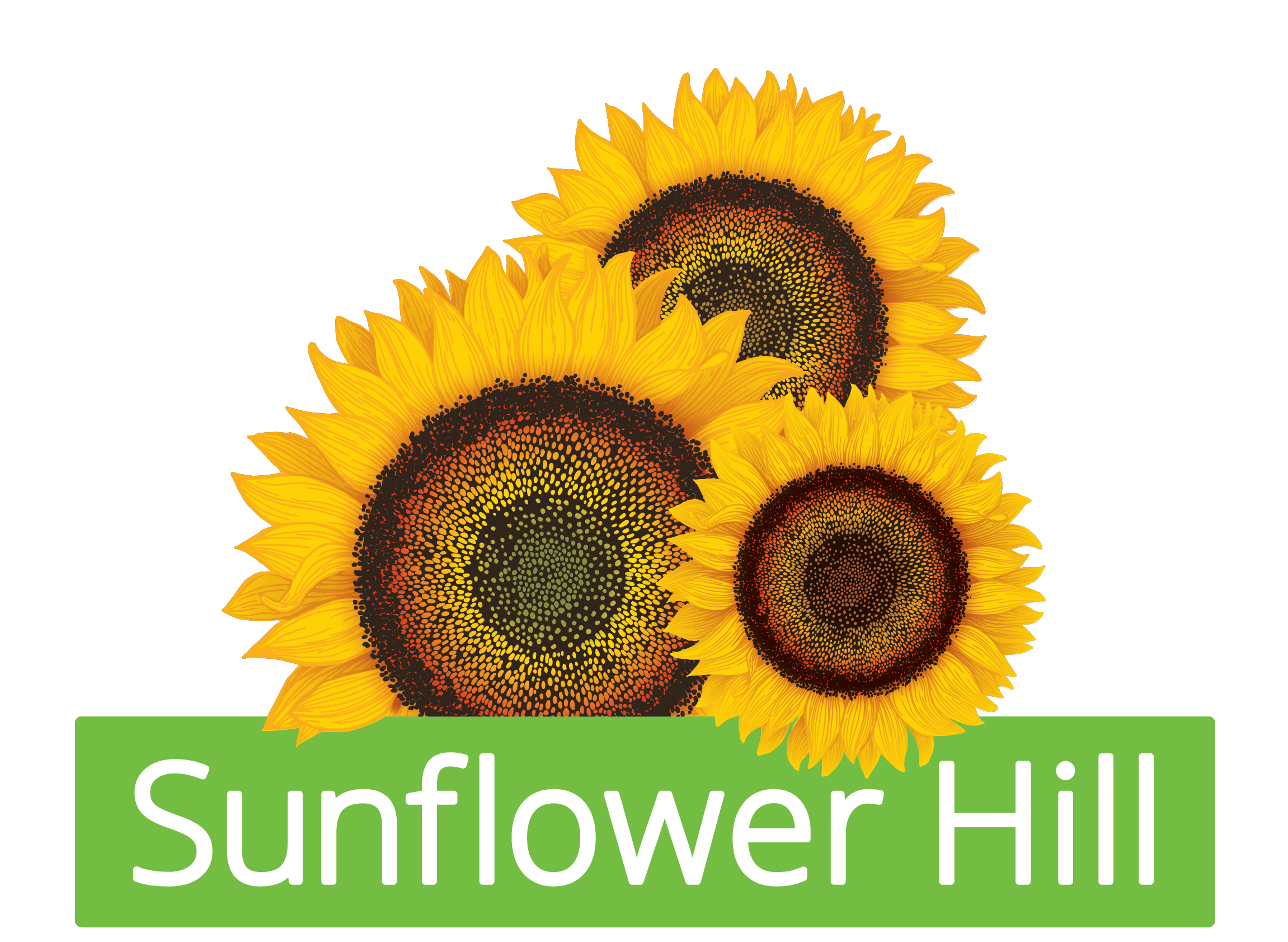 SFH Dev